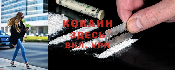 кокс Вяземский