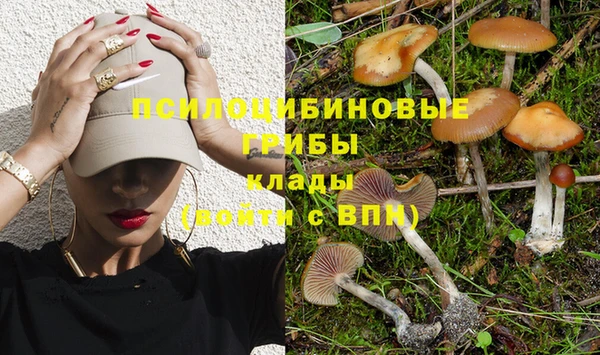 кокс Вяземский