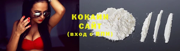 кокс Вяземский