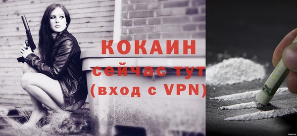 кокс Вяземский